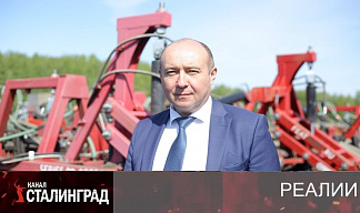 Жест отчаяния