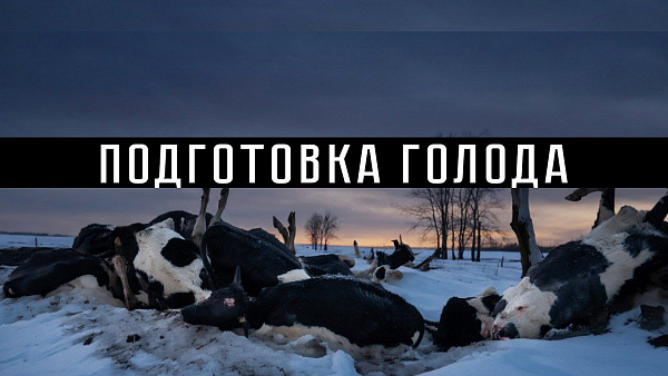 ПОДГОТОВКА ГОЛОДА
