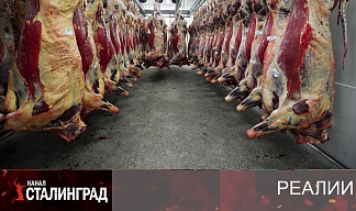 Мероприятие по организации голода.