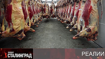 Мероприятие по организации голода.