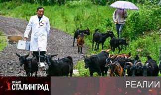 ДОКТОР ПО-КИТАЙСКИ