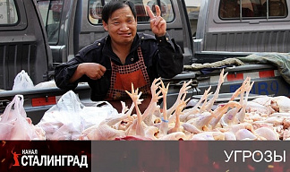 Сдали с потрохами Китаю
