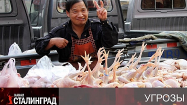 Сдали с потрохами Китаю