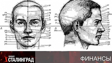 Цифровой профиль и финансовый анфас. 