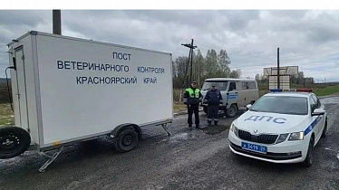 И вновь продолжается забой.