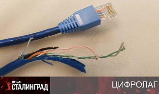Шадаев откусил провода